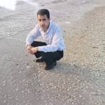 Hasan Abozena Profile Picture