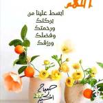 رحمة مفتاح Profile Picture